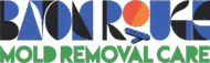 Baton Rouge Louisiana Mold Removal Care